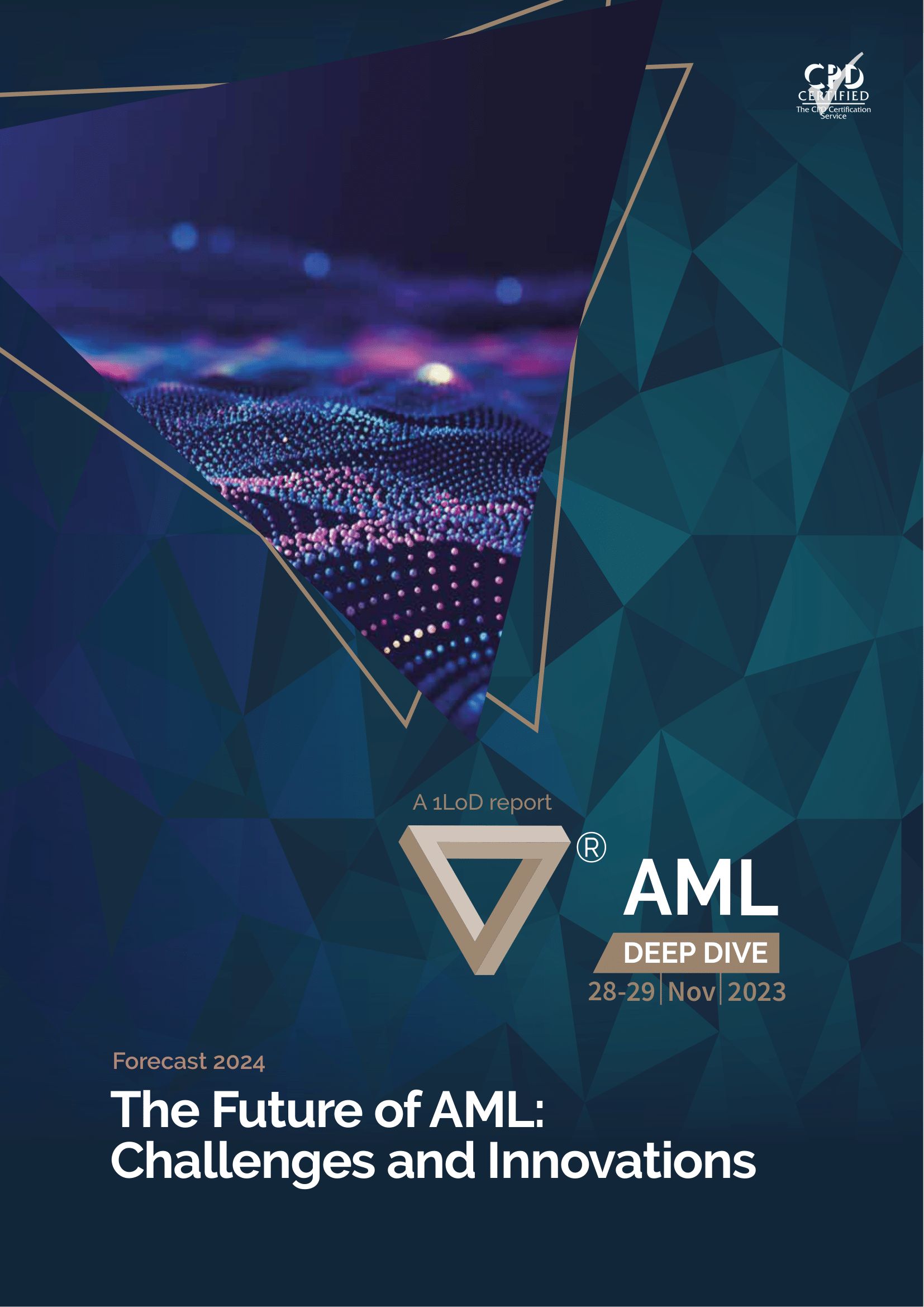 The Future of AML: Challenges and Innovations
