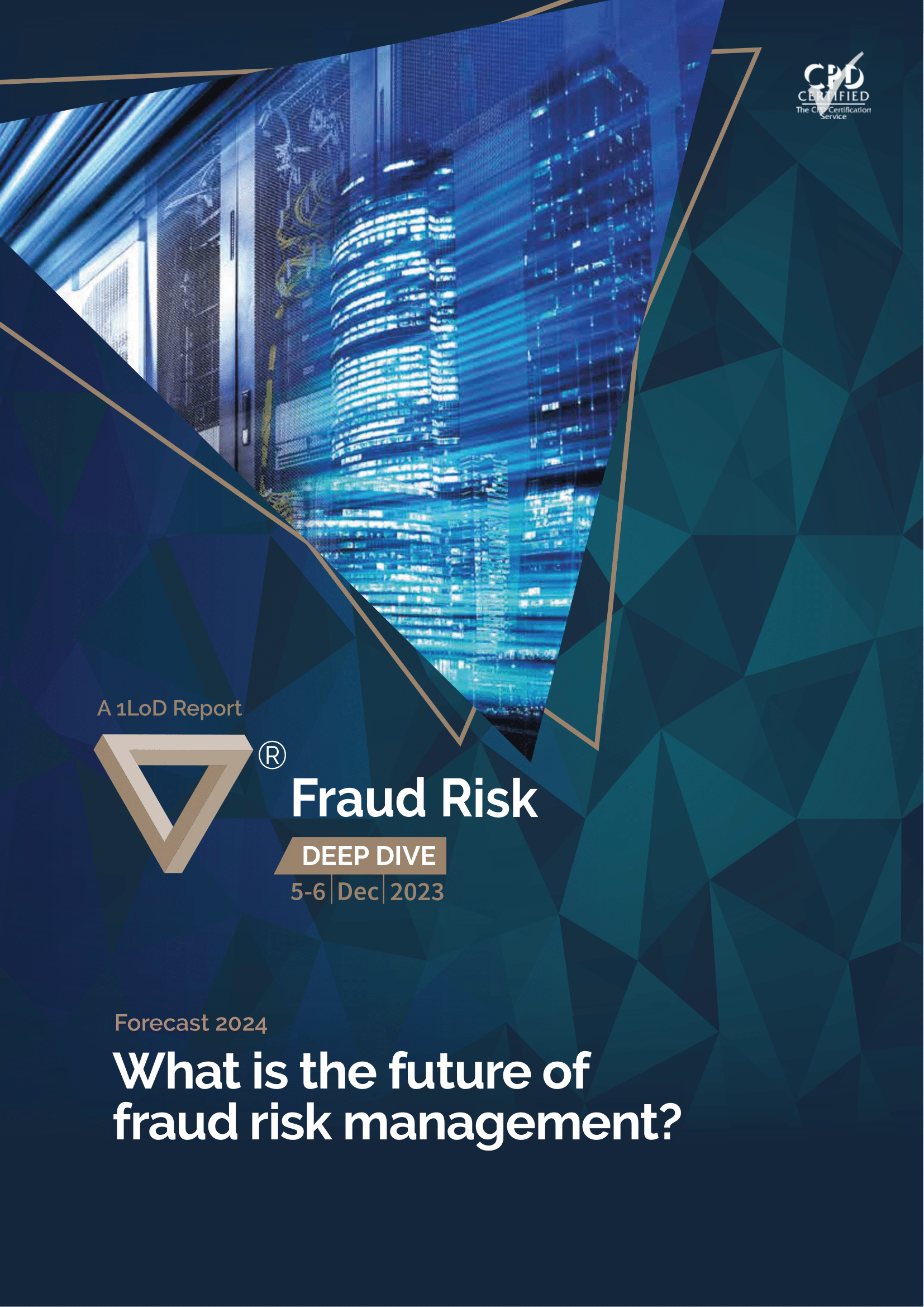 What is the future of fraud risk management?