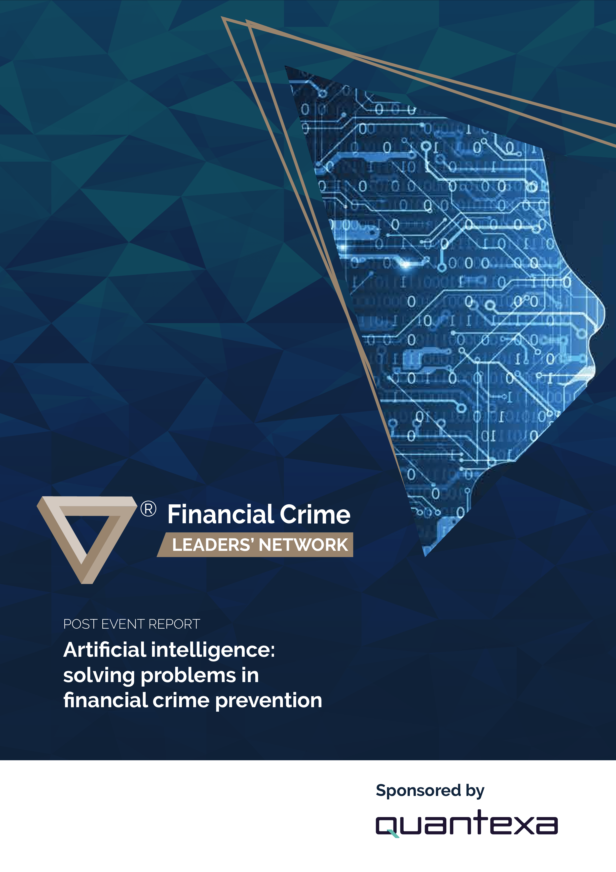 Artificial intelligence: solving problems in financial crime prevention