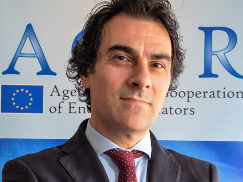 Martin Godfried - ACER – European Union Agency for the Cooperation of Energy Regulators 