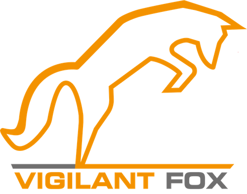 Introduction to Vigilant Fox / Cyberpal Ltd