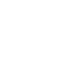 zing insights