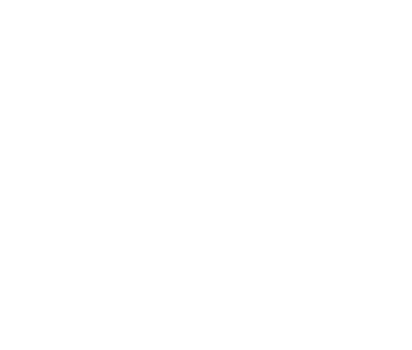AEO Conference 2022