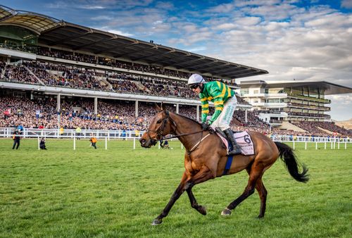 Cheltenham Racecourse