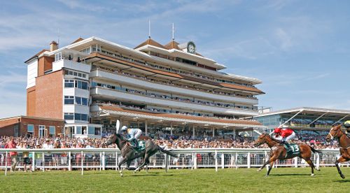Newbury Racecourse 