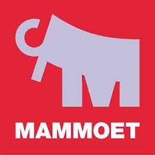 Exhibitor profile image for Mammoet USA South