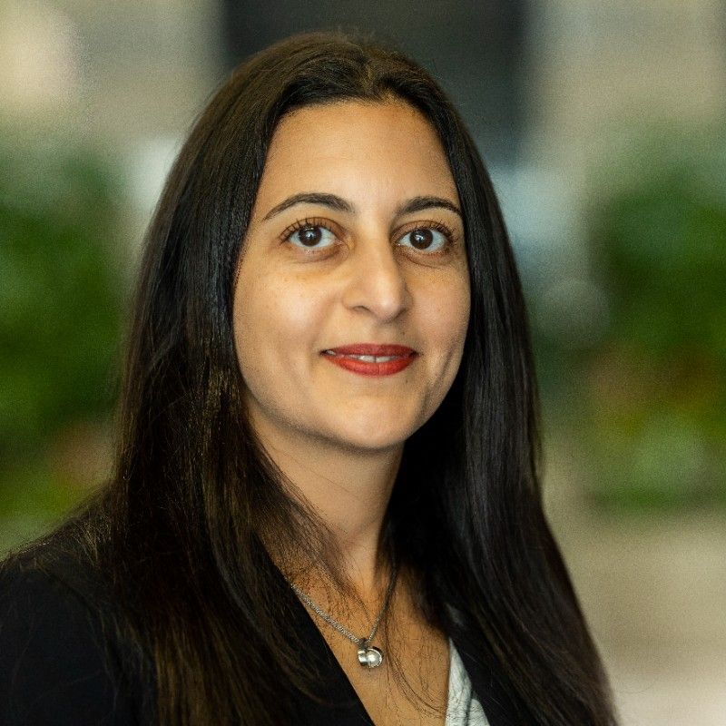 Speaker profile image for Mona Setoodeh