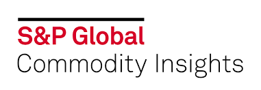 Company logo image for Ricardo Castillo