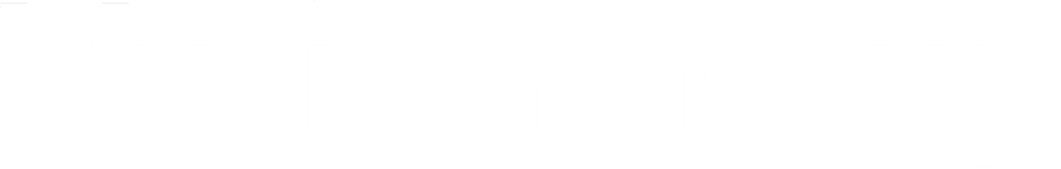 vusion group 