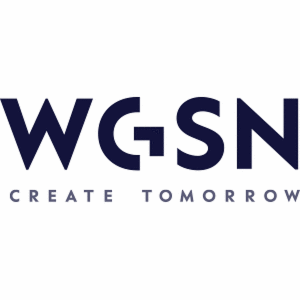 Company name - WGSN