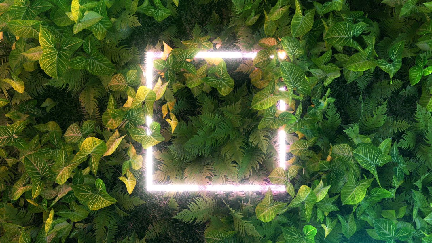 Cover image - LaunchPod Studios