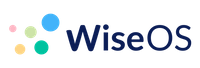 Company name - WiseOs
