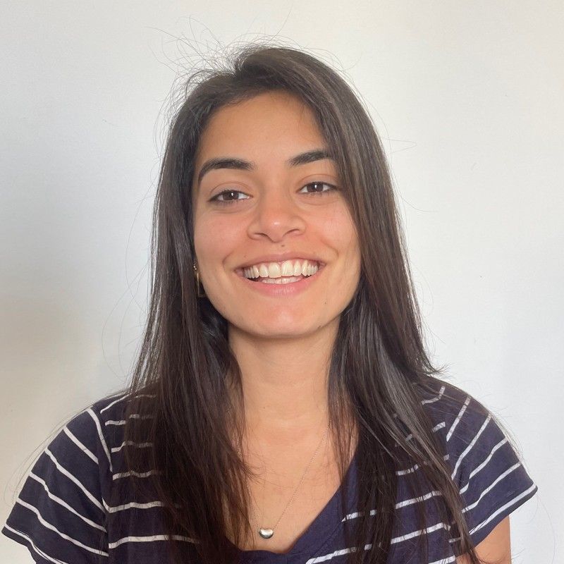 Speaker image for Mashal Hussain