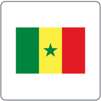 Company name - Senegal Ministry