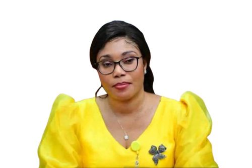 DRC Brings Oil Development Push to AEW 2026 as Hydrocarbons Minister Leads Sector Agenda