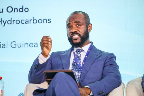 Equatorial Guinea Has Fewer Than Seven Open Blocks After Year of Investor Uptake, Minister Says