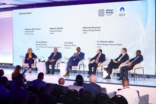 Africa Energy Bank to Begin Financing Gas Projects in Early 2027, APPO Says