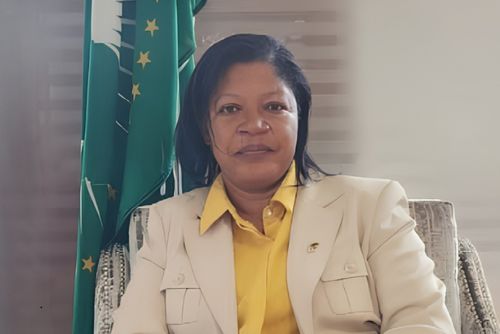 Malawi Moves to Shore Up Power Supply as Energy and Mining Minister Mathanga Joins AEW 2026