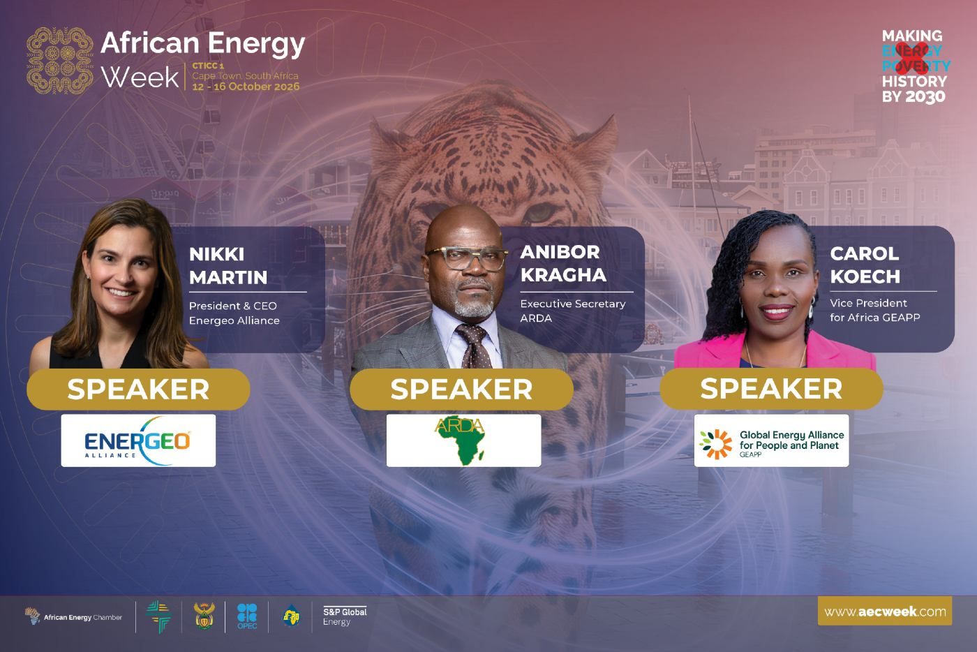 Global Energy Bodies Converge at AEW 2026 to Shape the Continent’s Energy Future