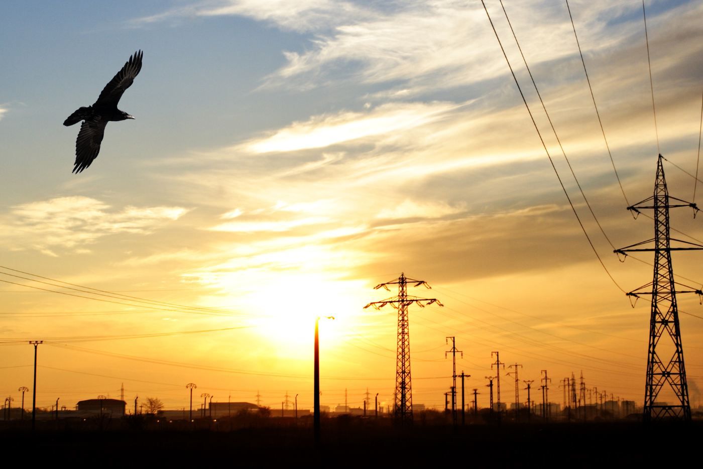 From Policy Reform to Private Capital: Africa’s New Electricity Investment Model