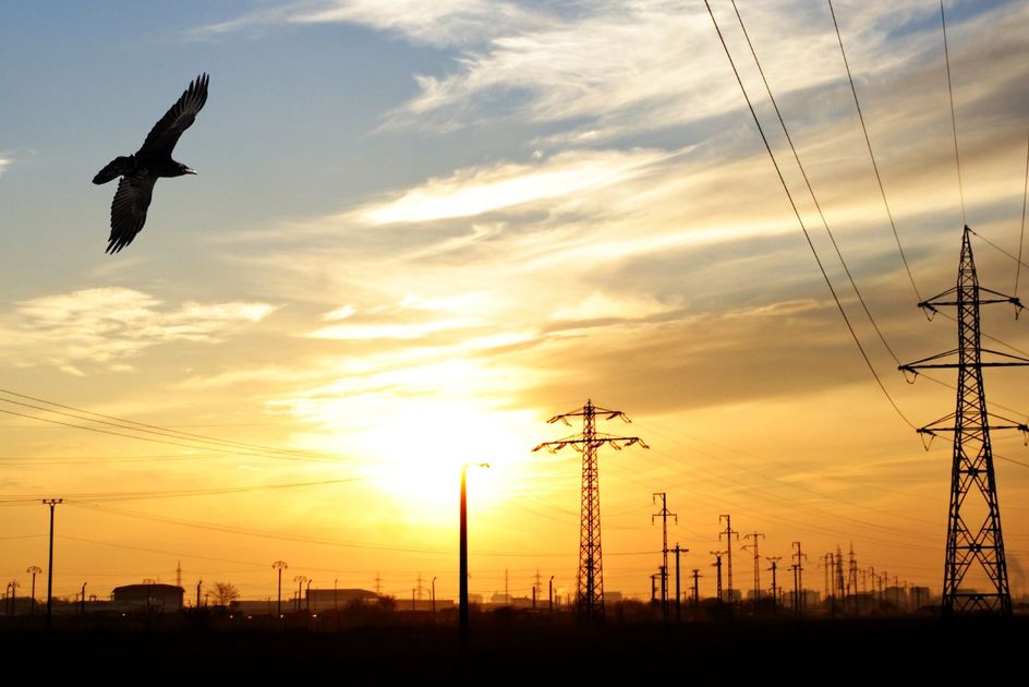 From Policy Reform to Private Capital: Africa’s New Electricity Investment Model