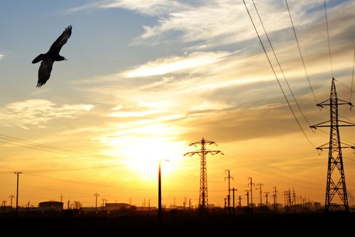 From Policy Reform to Private Capital: Africa’s New Electricity Investment Model