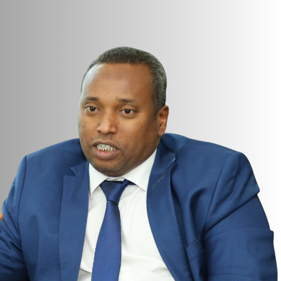 H.E. Yonis Ali Guedi