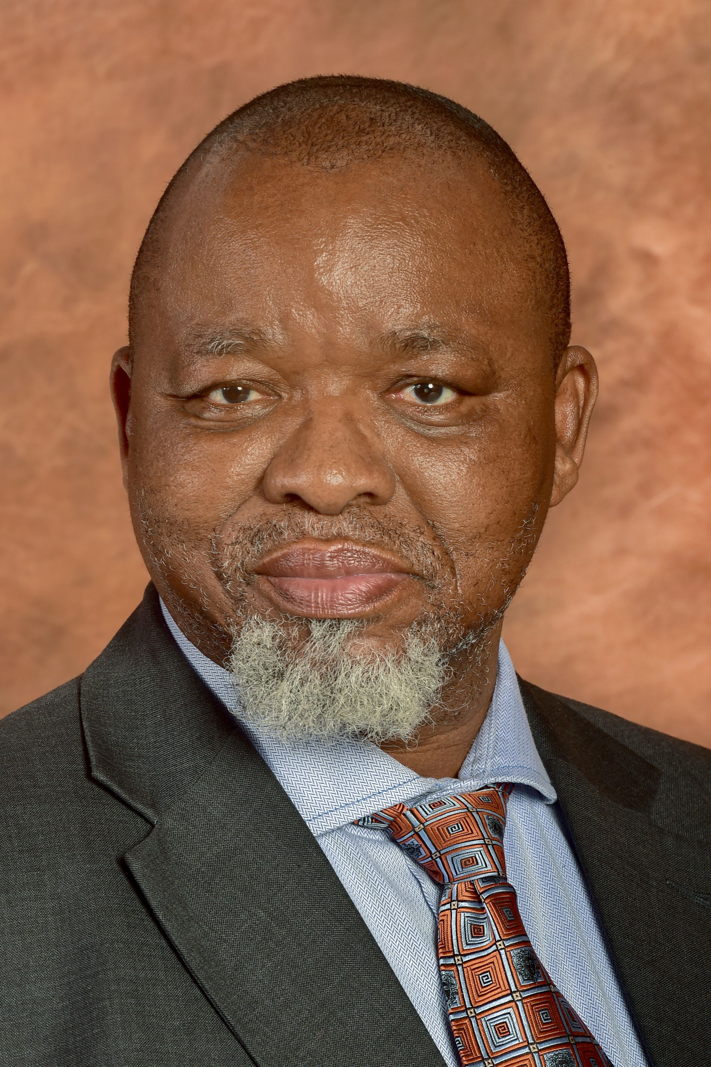 Hon. Gwede Mantashe
