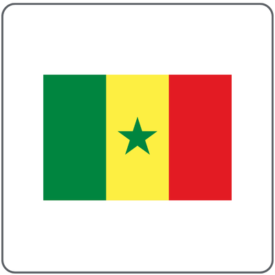 MINISTRY OF OIL & GAS, SENEGAL