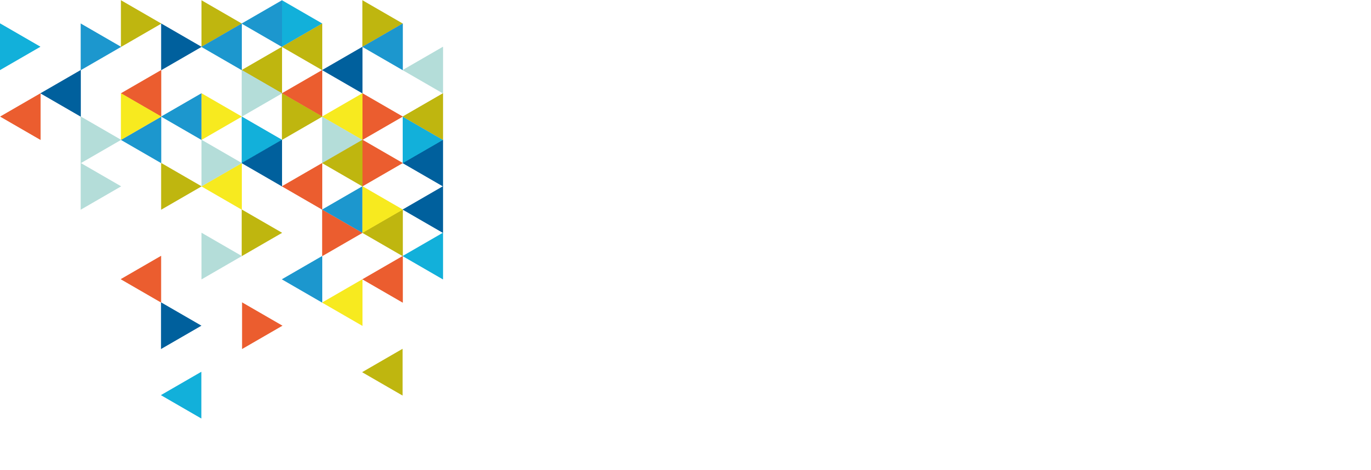 World Humanitarian Forum 