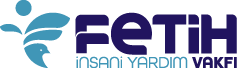 FeTiH