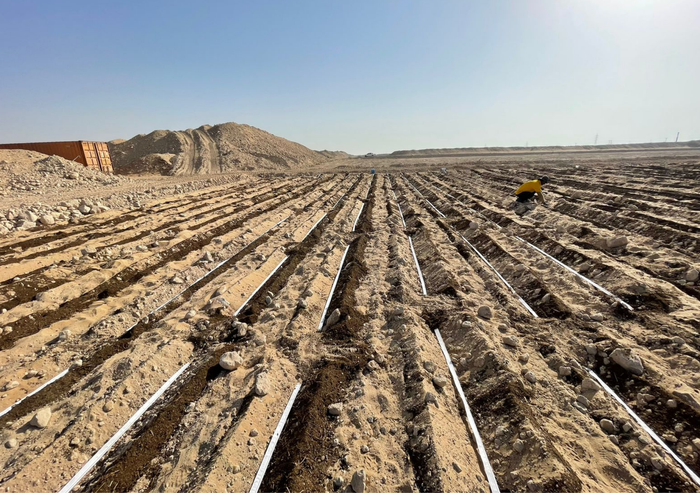 Responsive Drip Irrigation