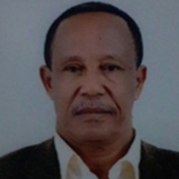 Speaker image for Debebe Kassa