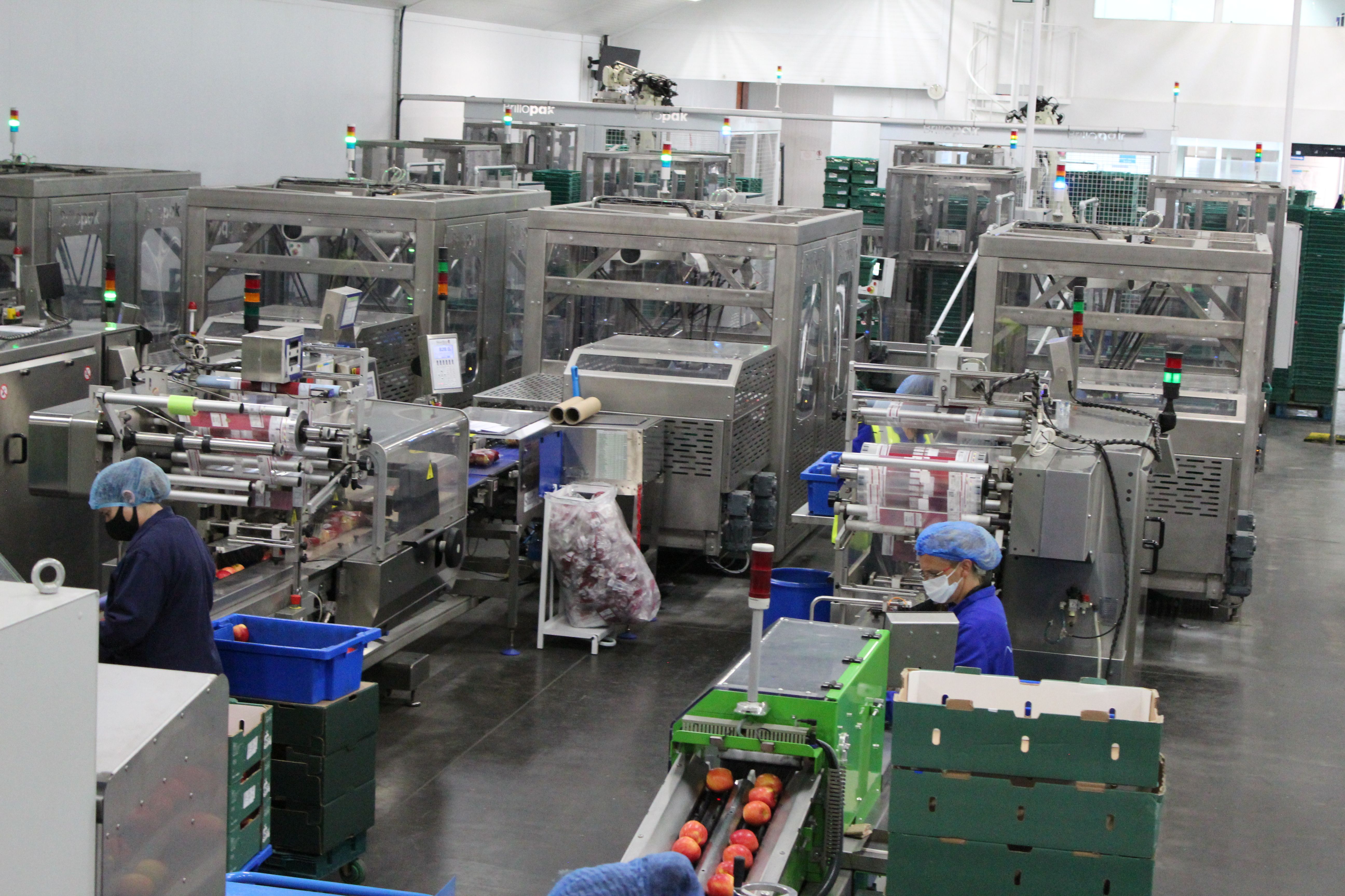 A Smoother Transition to Automation Success