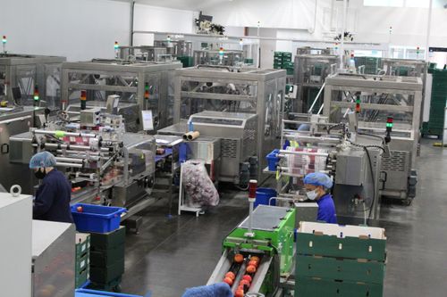 A Smoother Transition to Automation Success