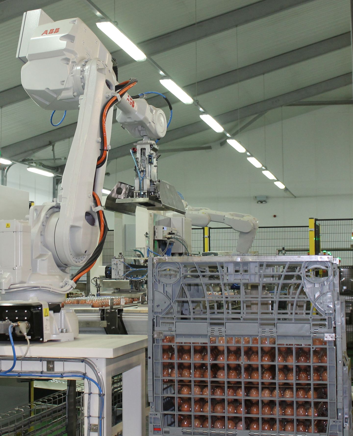 egg palletising robot