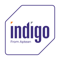 Company name - Indigo Software
