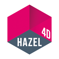 Company name - Hazel 4D