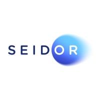 Company name - Seidor 