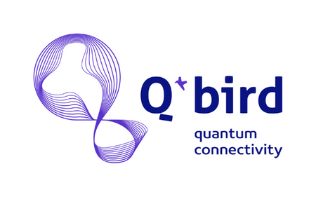 Q*Bird