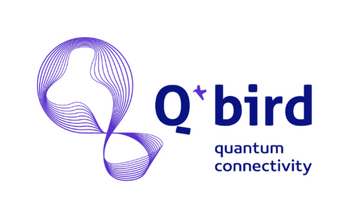 Q*Bird