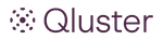 QLUSTER