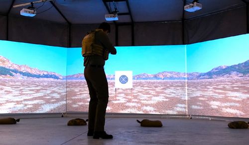 SHOOTING AND COMBAT SIMULATORS