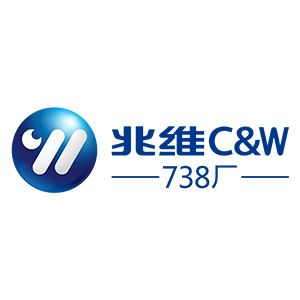 Beijing C&W Electronics Group