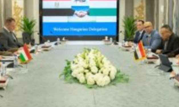 Egypt, Hungary discuss ways to bolster mutual cooperation