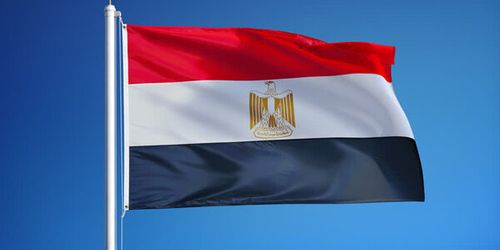 Egypt and Central African Republic discuss military cooperation
