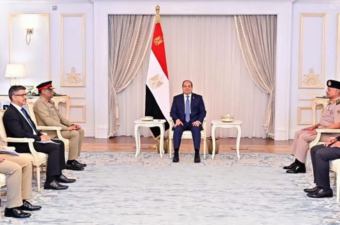 Sisi lauds continued development in Egypt-Pakistan ties