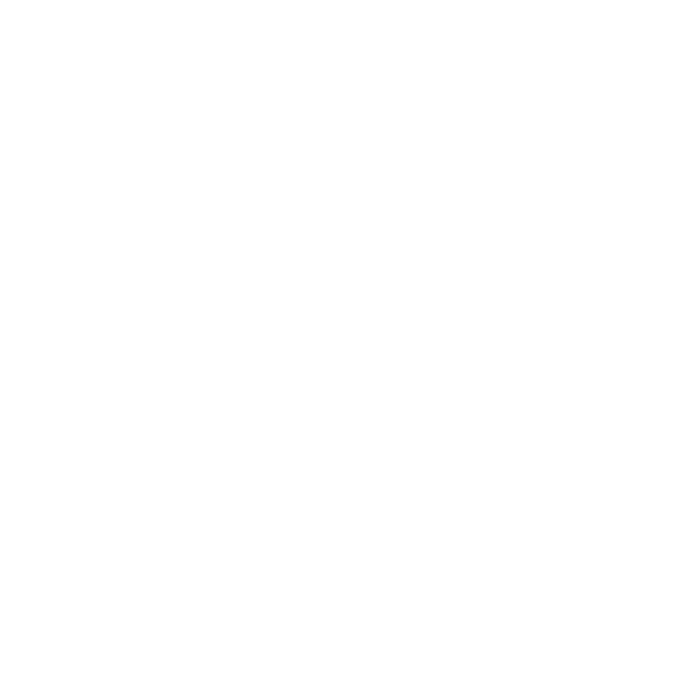 Elalamein International Air Show White Logo