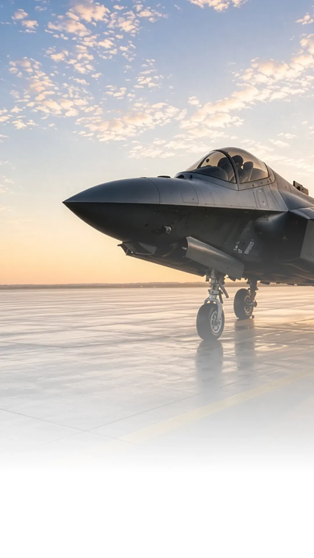 THE GATEWAY TO AEROSPACE IN AFRICA & THE MIDDLE EAST (MOBILE ONLY)
