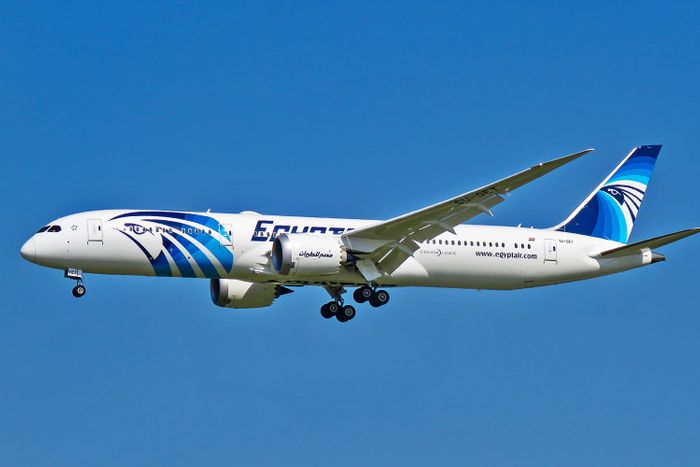 EgyptAir launches direct flight to Brazil